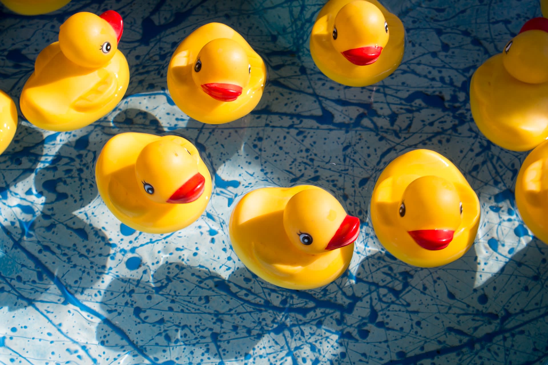 Rubber ducks in a bath