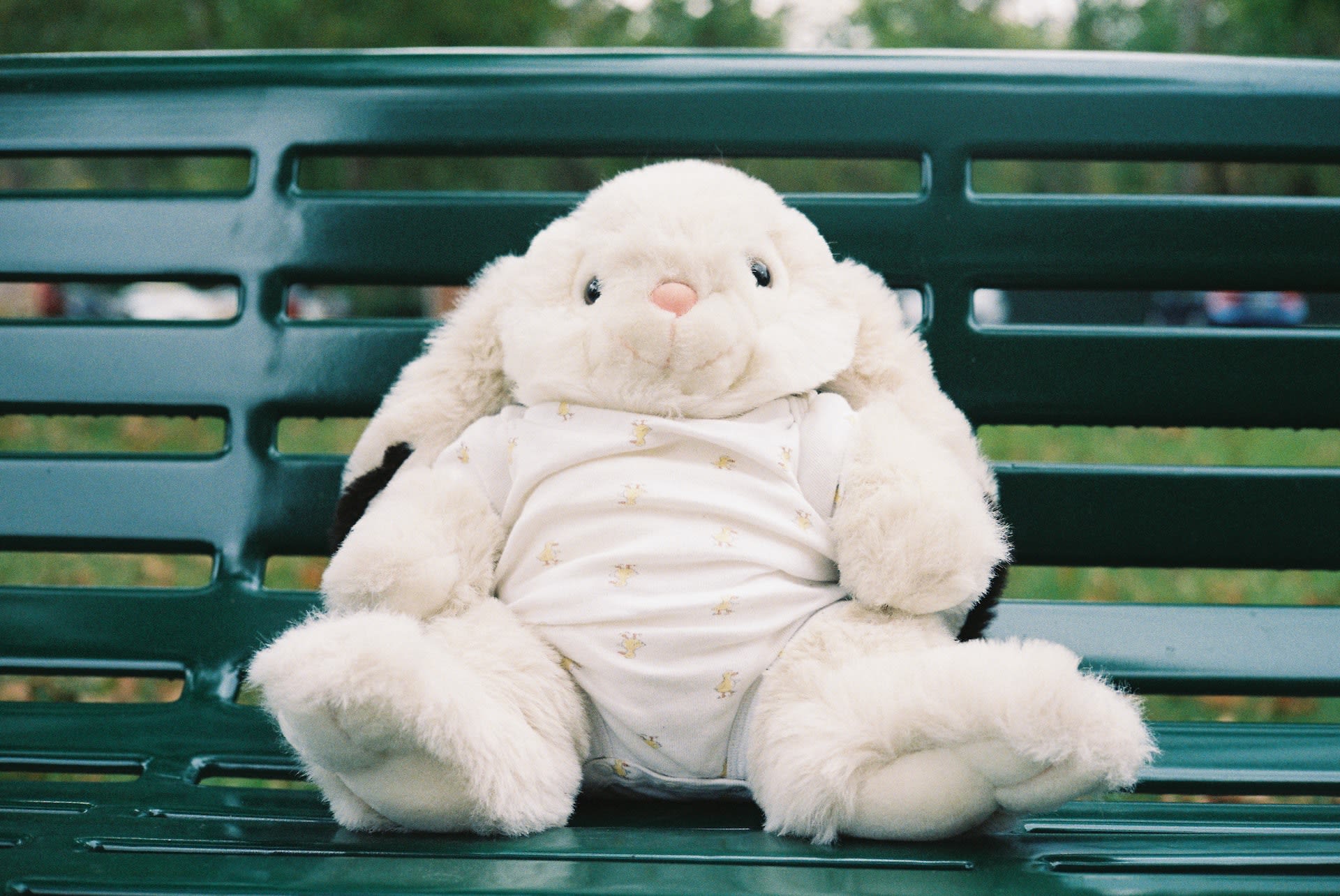 Soft bunny sitting on bench