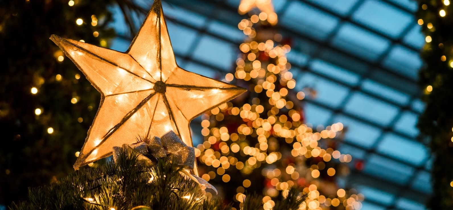 Close up of lighted yellow star on Christmas tree