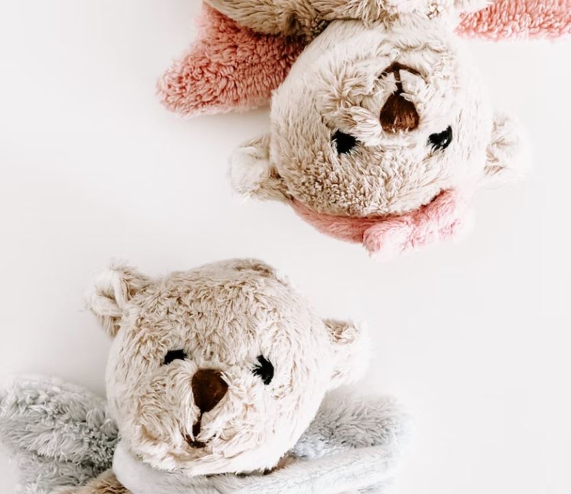 two soft second-hand teddy bears