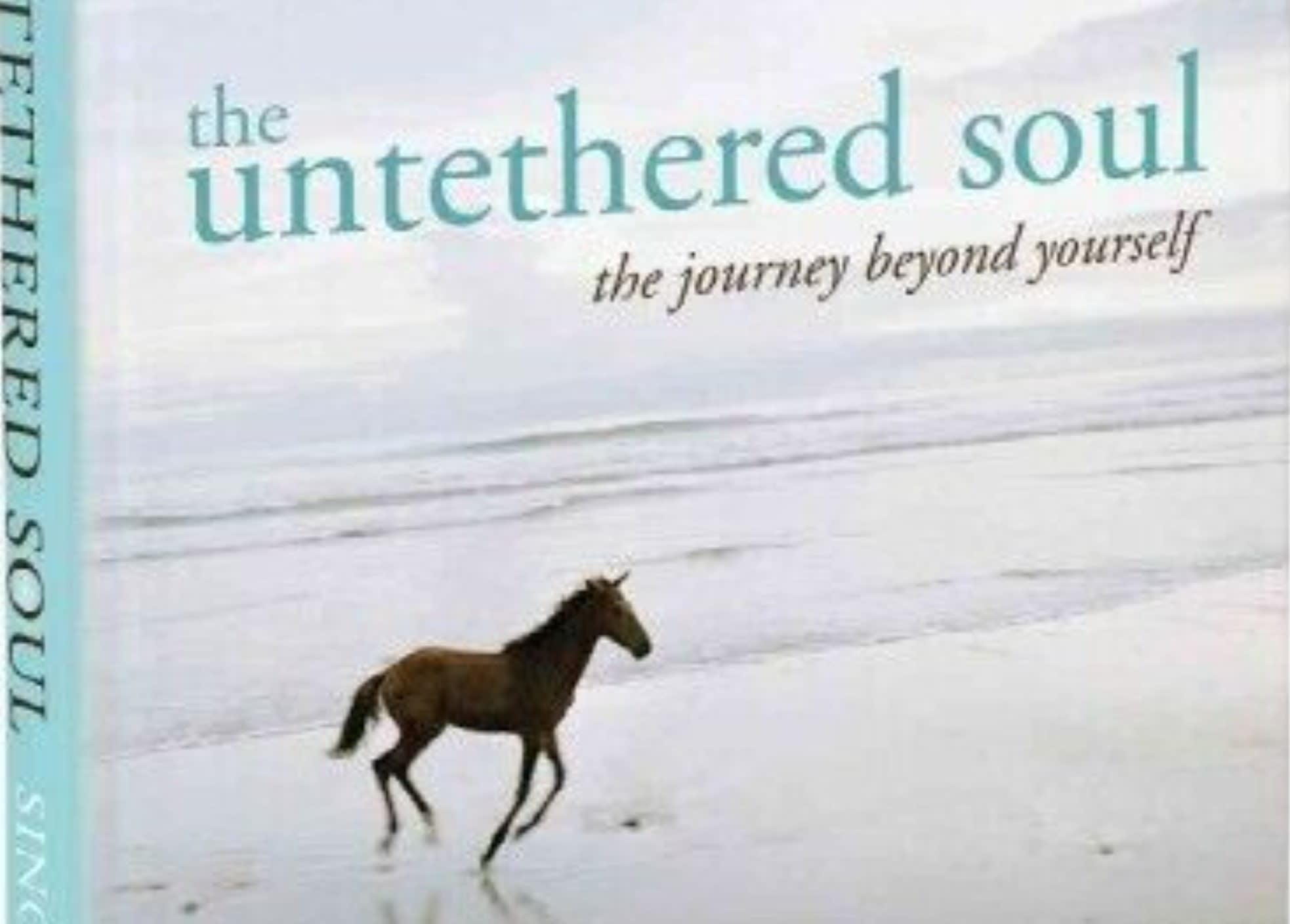 Cover of second hand 'Untethered Soul' book