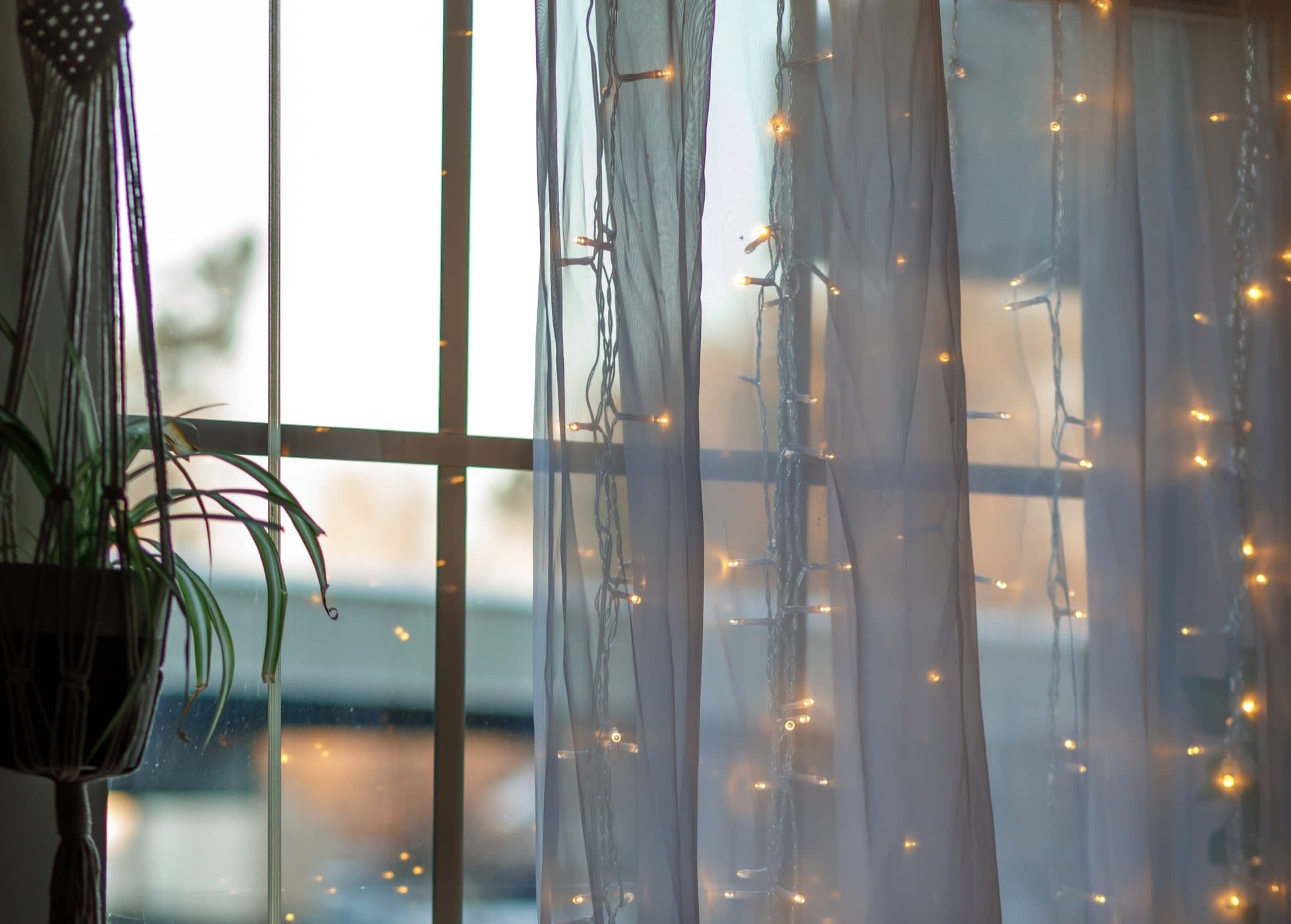 fairy lights on net curtain