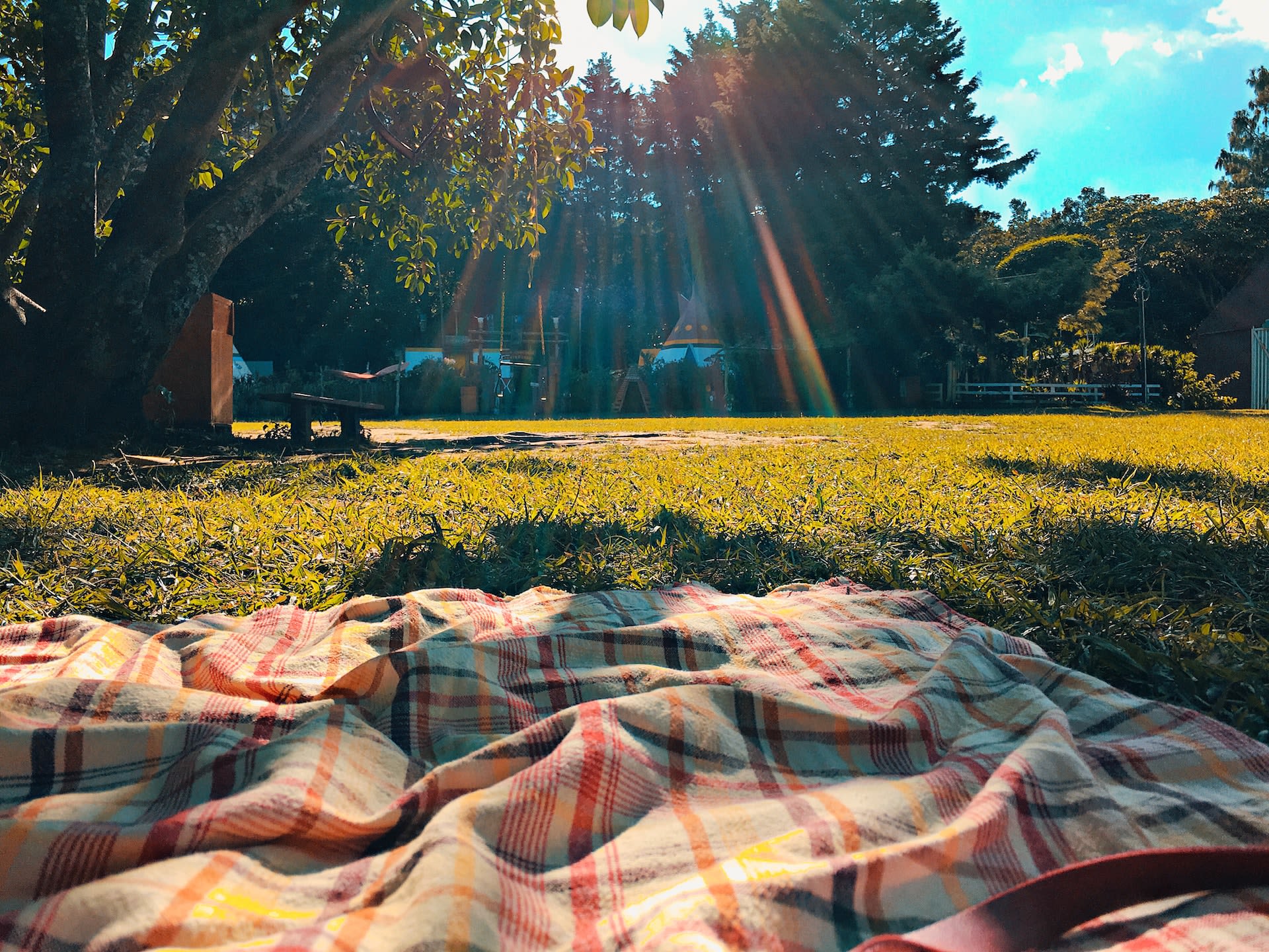 the sun shining on a gingham picnic blanket in a field