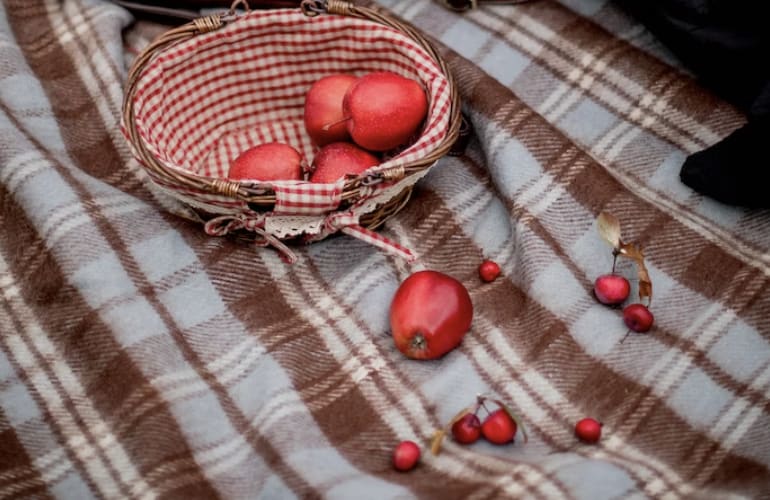 A bowl of fruit on a picnic blanket