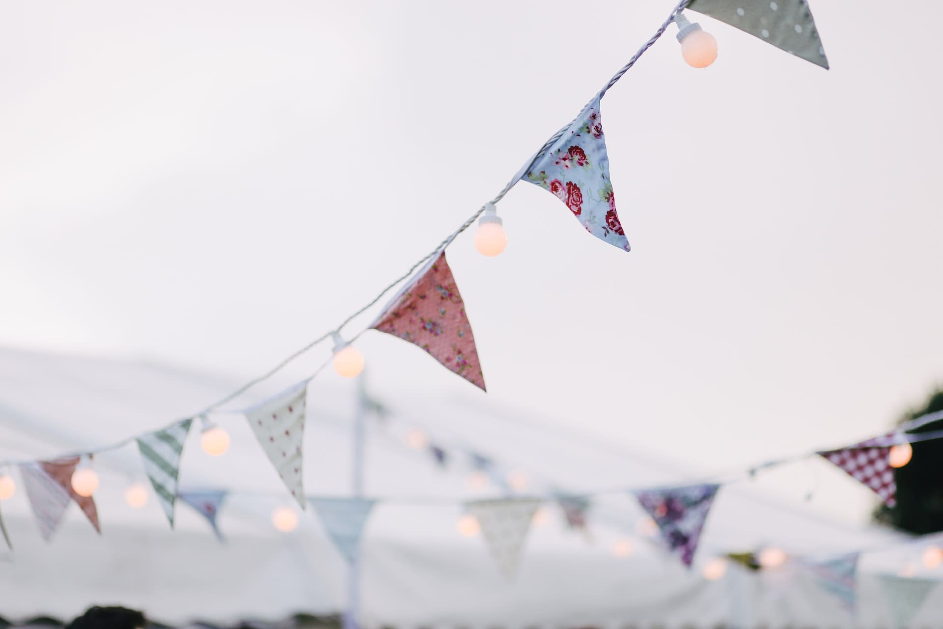 bunting up in the evening light