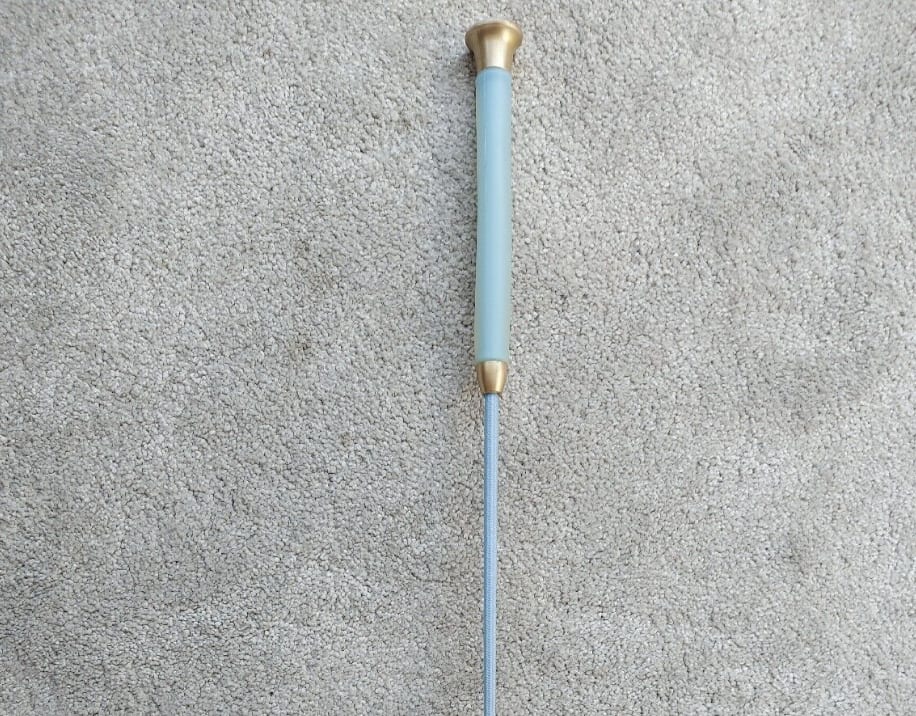 Blue horse riding crop