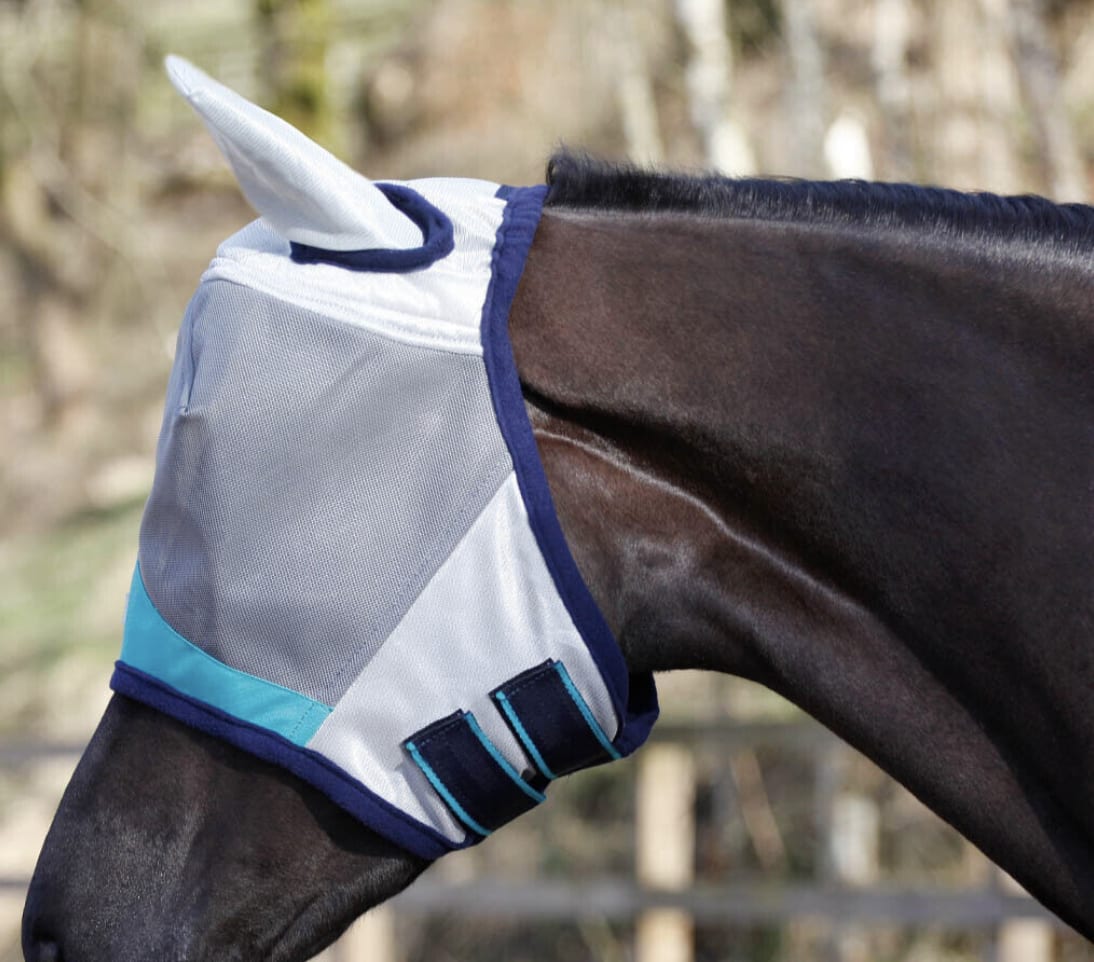 Horse wearing a second hand fly mask