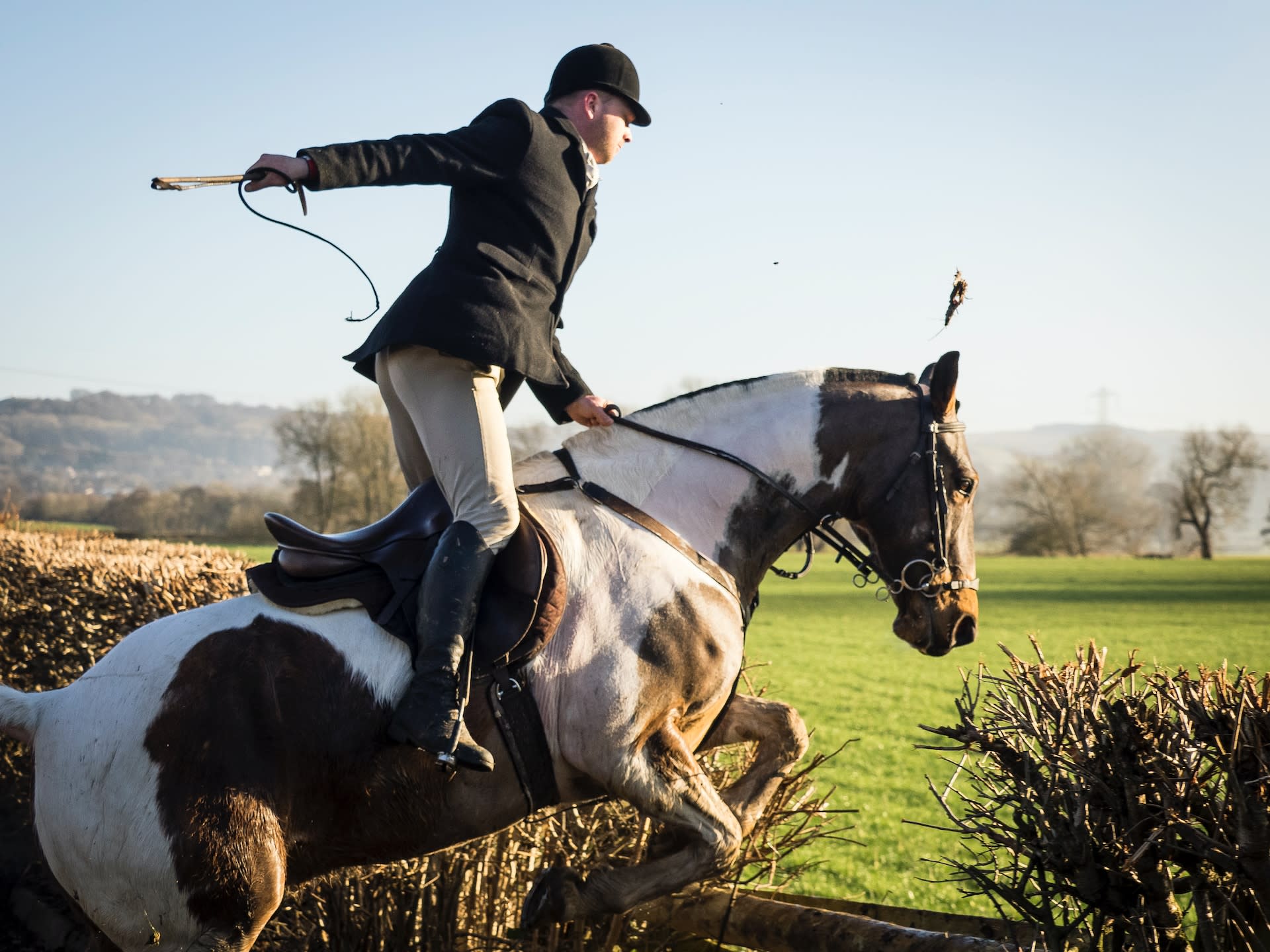 Man jumping a horse using a riding whip