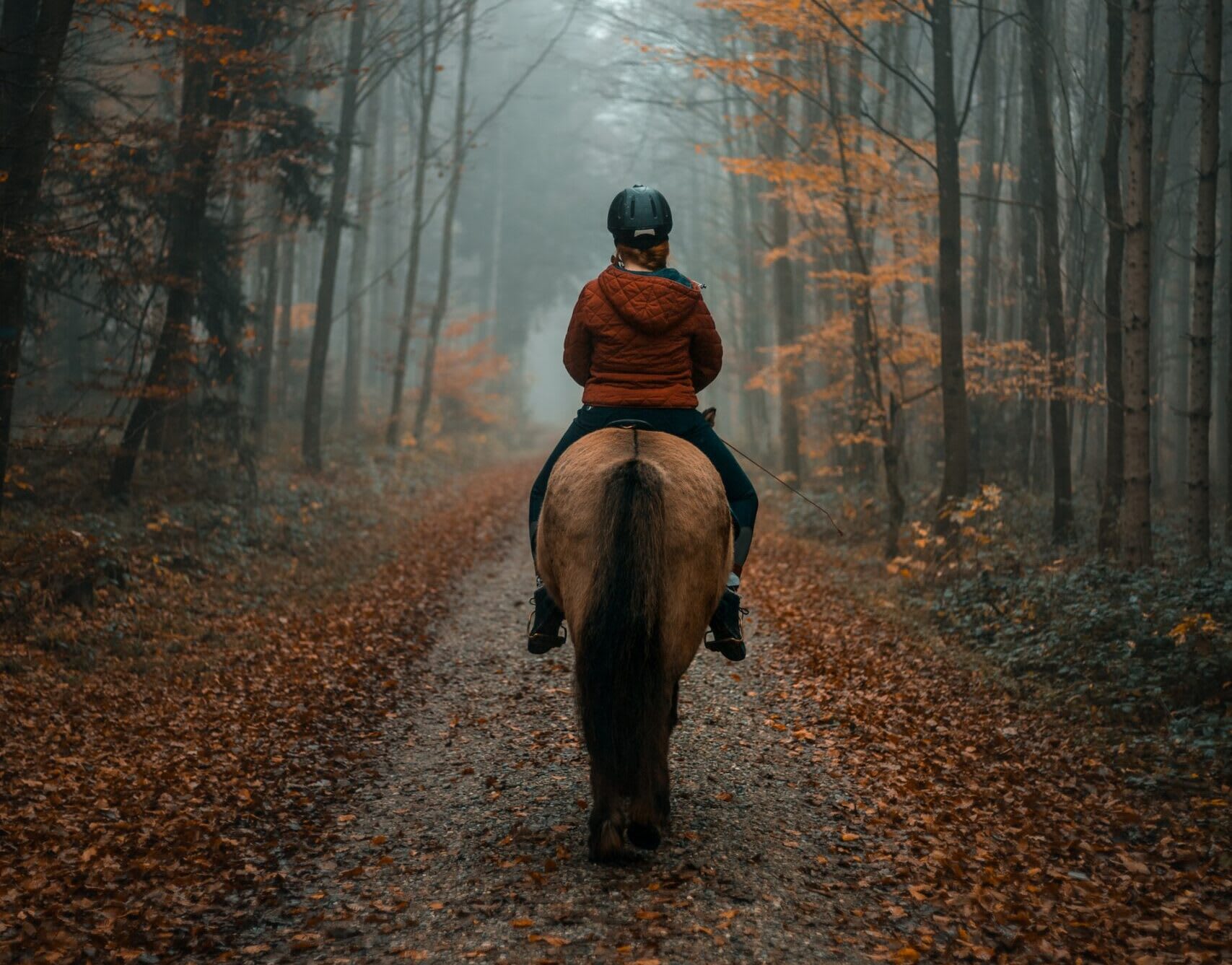 Woman out hacking on a horse on an autumnal day wearing a jacket