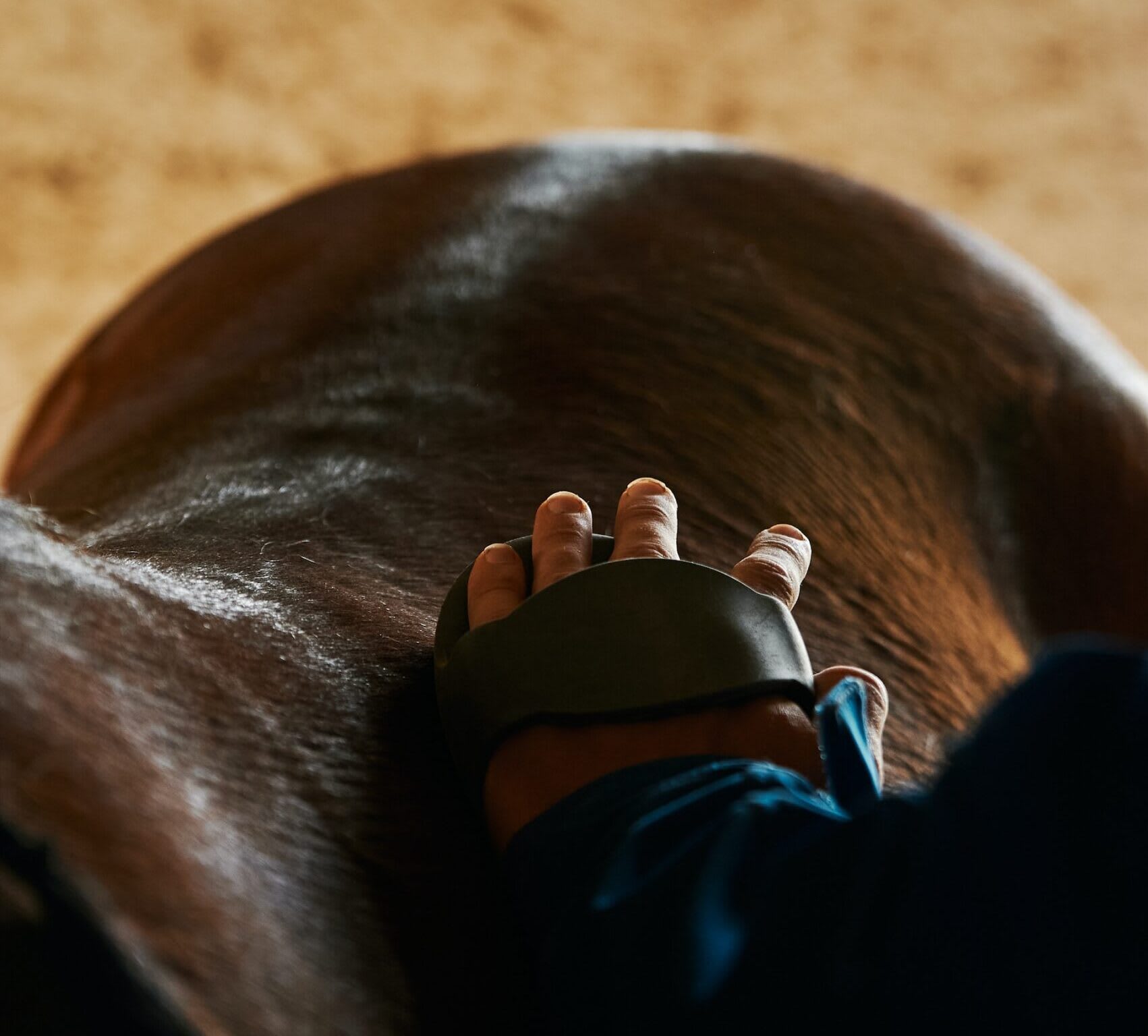 Man brushing horses back