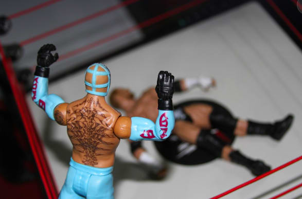 Preloved WWE toys