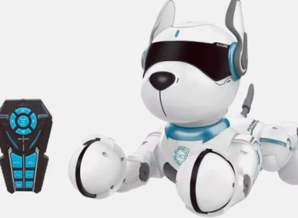 Second-hand robot dog