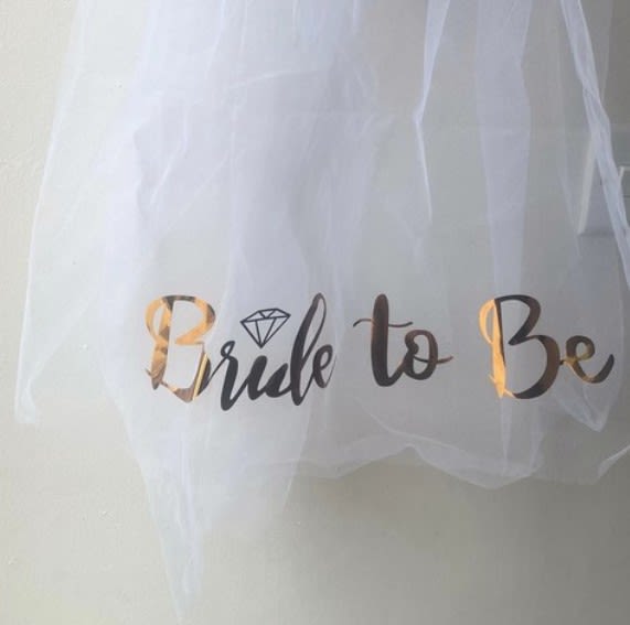 Bride to be veil for hen do