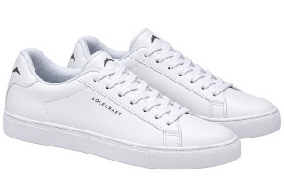 shoe