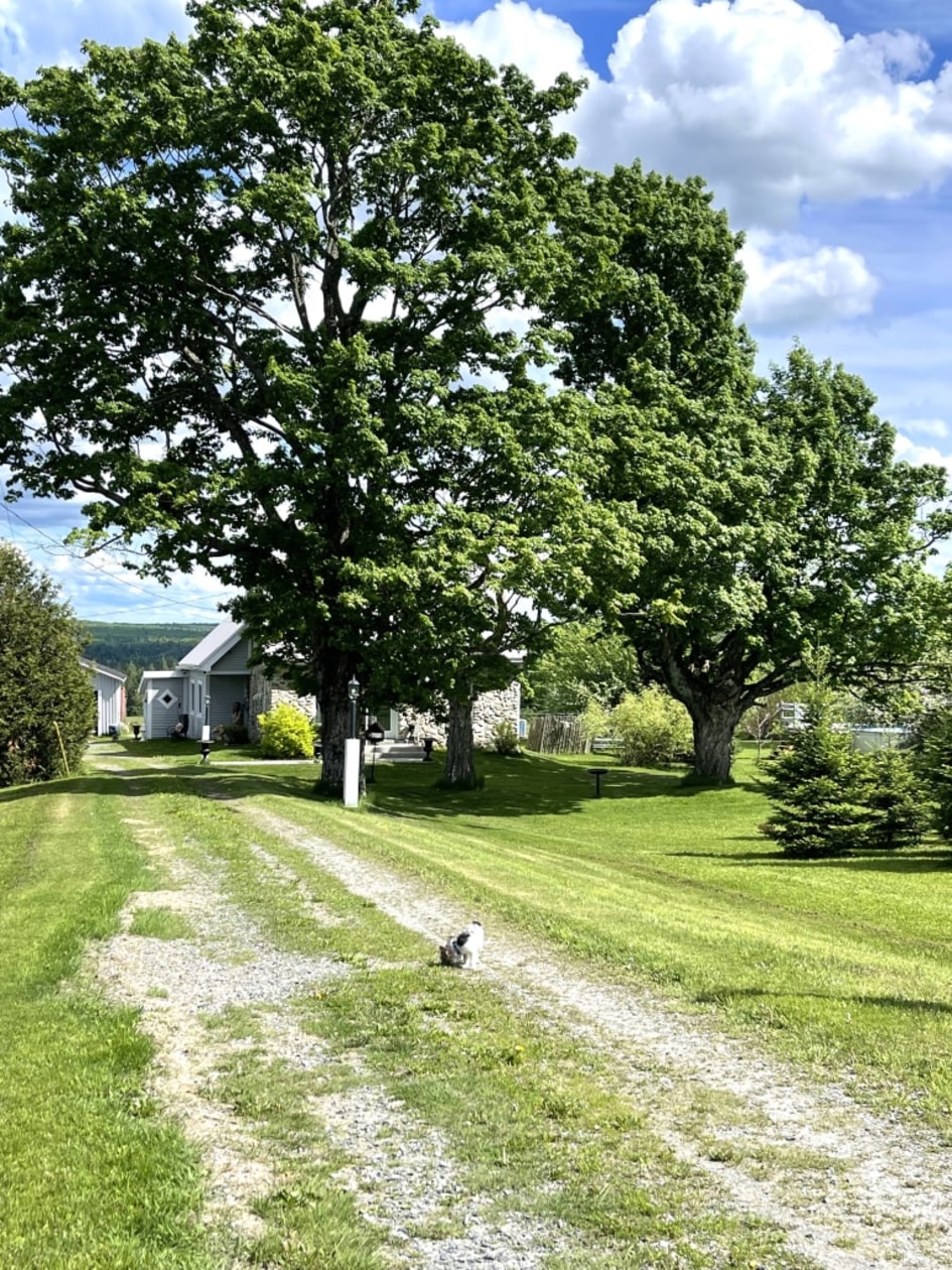 Photo 9 — 315 Ch De North Hill, Stornoway, G0Y 1N0, Stornoway