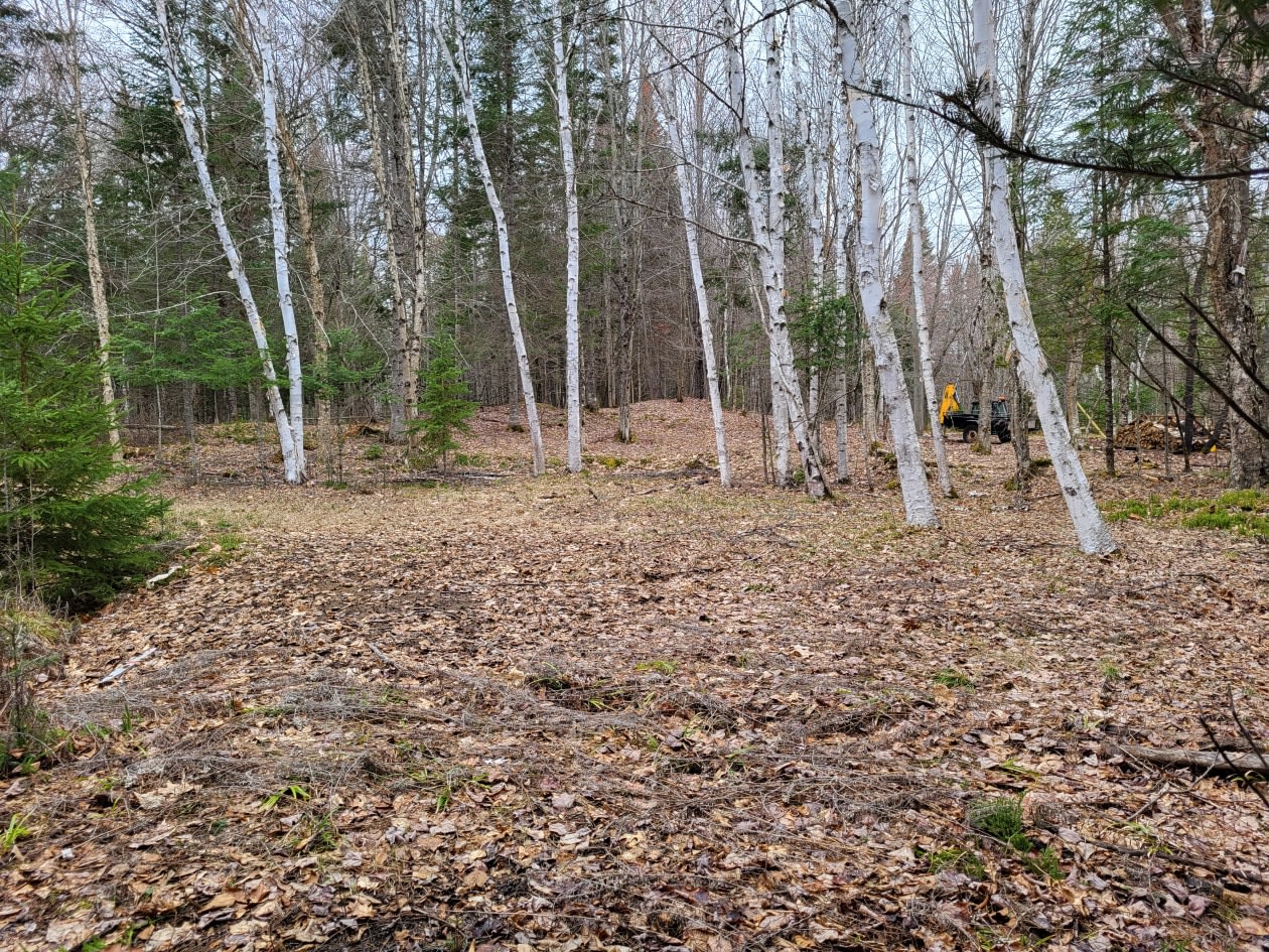 Photo 6 — Rue du club, La Minerve, J0T 1S0, La Minerve