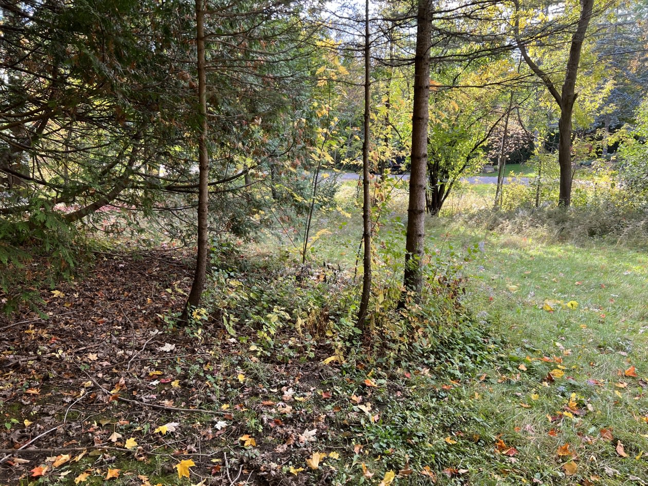 Photo 5 — 312 Rue Westward, Rosemère, J7A 1T1, Rosemère