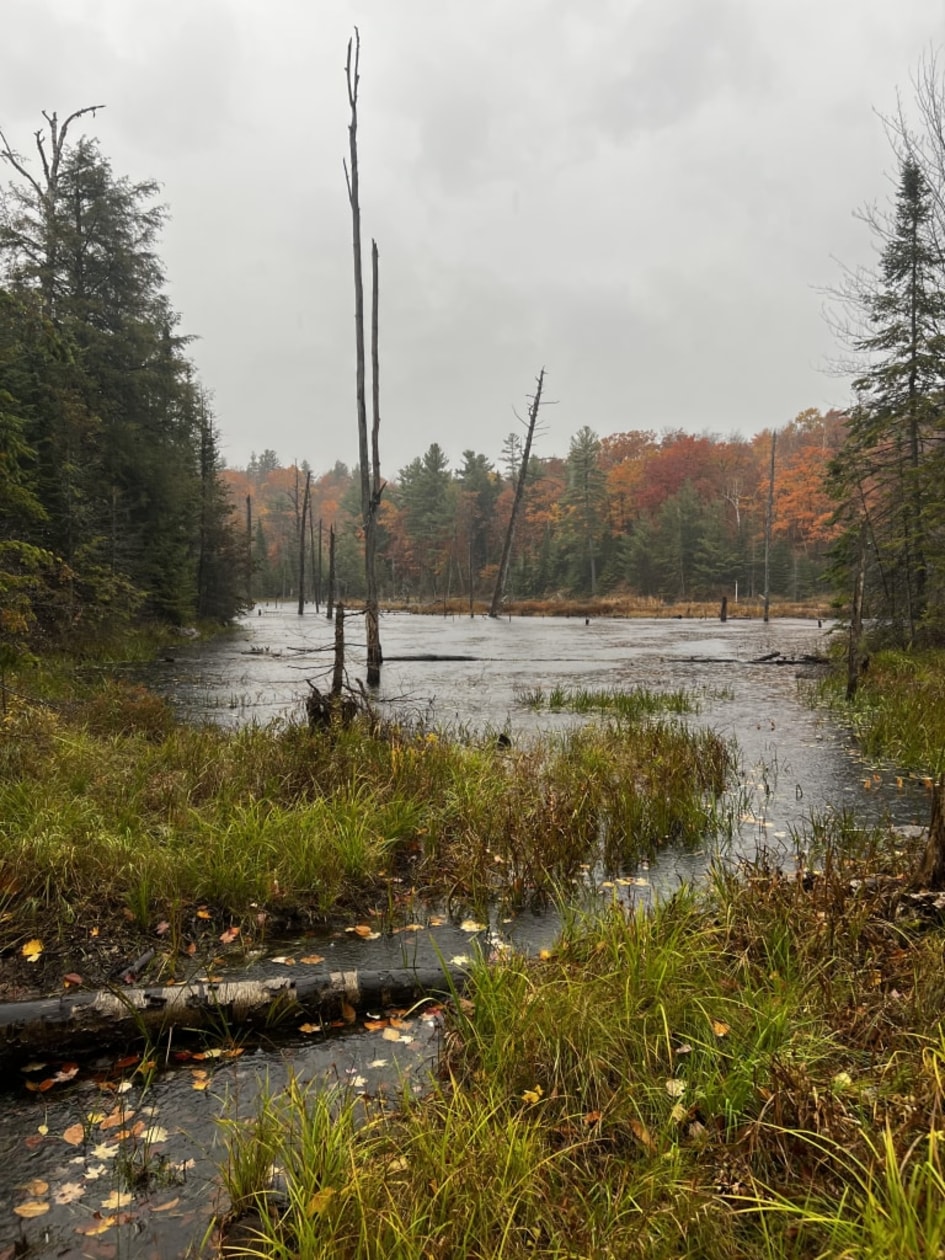 Accès au plan d'eau — Rue Du Merle, Gore, J0V 1K0, Gore