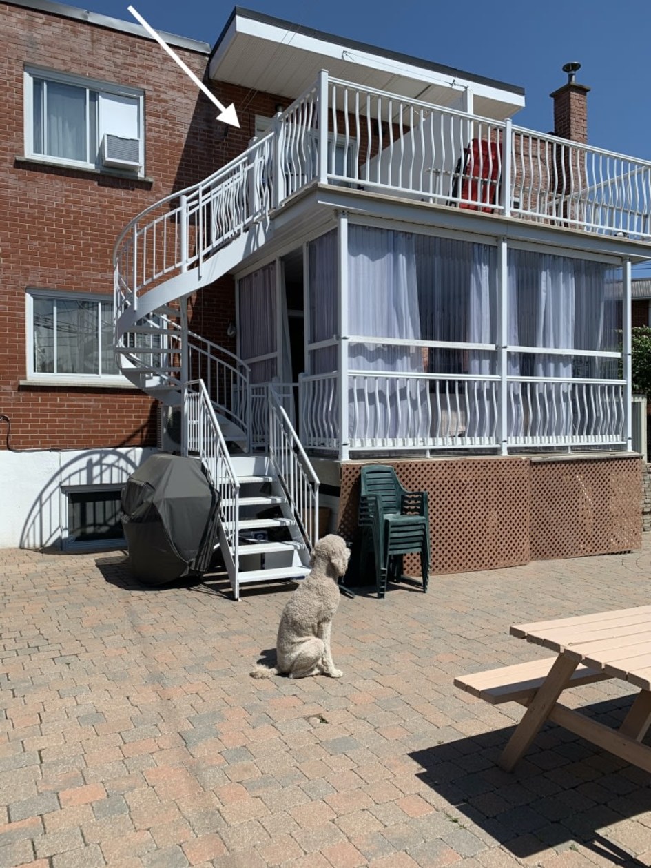 Photo 14 — 4365 Rue De Roquebrune, Saint-Leonard, H1R 1K5, Saint-Leonard