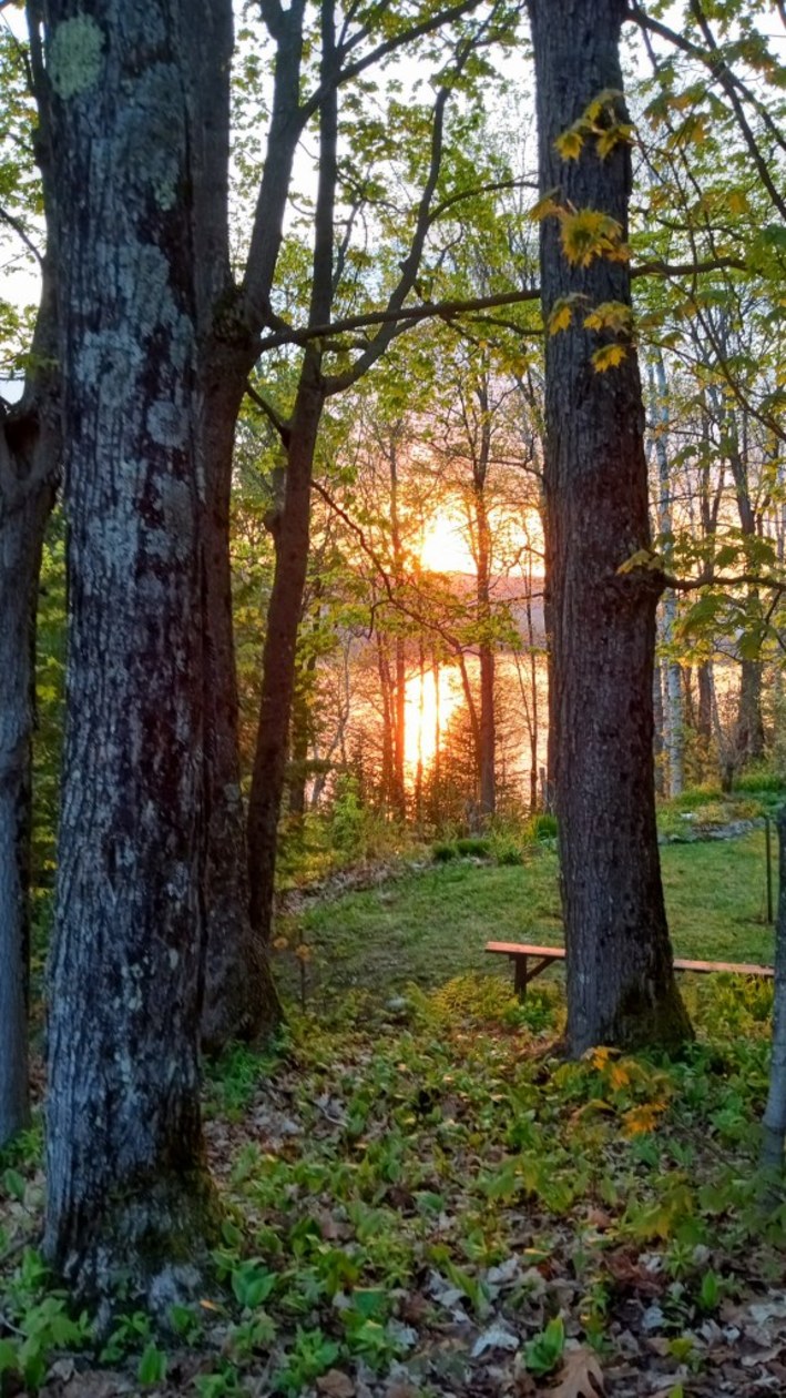 Photo 21 — 575 chemin du lac Deligny E., Mandeville, J0K 1L0, Mandeville