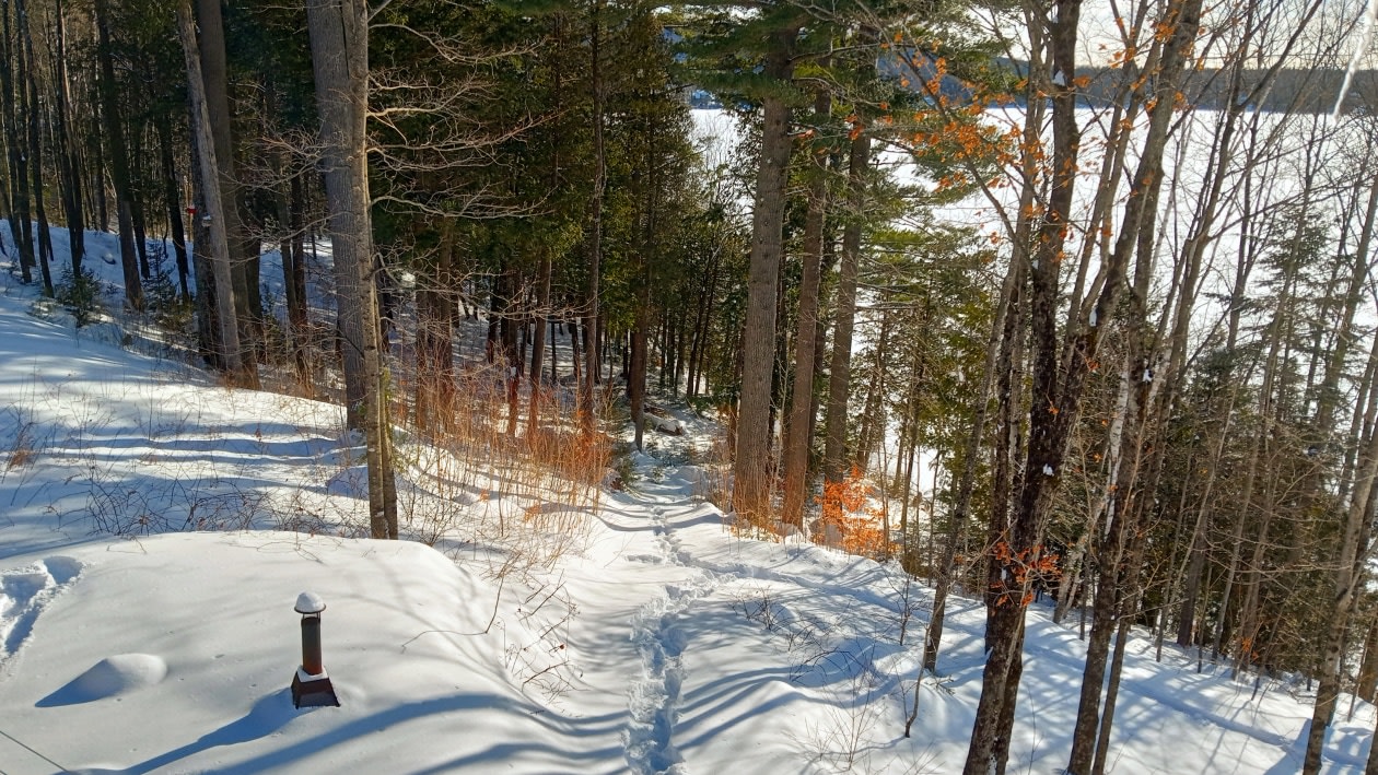Photo 24 — 575 chemin du lac Deligny E., Mandeville, J0K 1L0, Mandeville