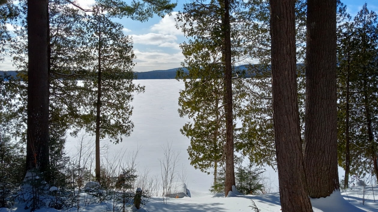 Photo 28 — 575 chemin du lac Deligny E., Mandeville, J0K 1L0, Mandeville