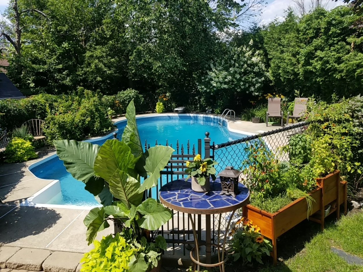 Piscine — 630 Rue J.-Brunette, Deux-Montagnes, J7R 6P5, Deux-Montagnes