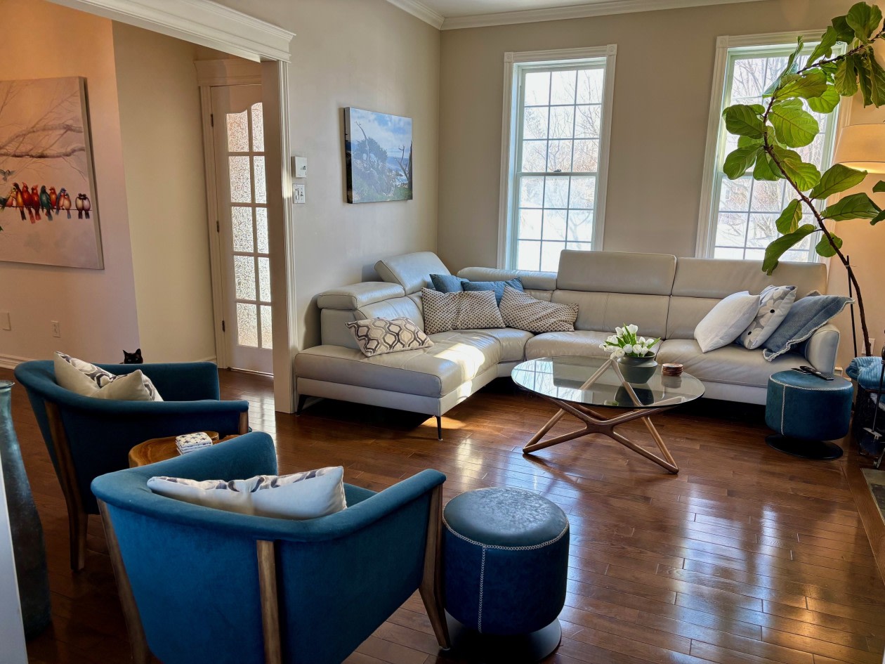 Salon — 630 Rue J.-Brunette, Deux-Montagnes, J7R 6P5, Deux-Montagnes