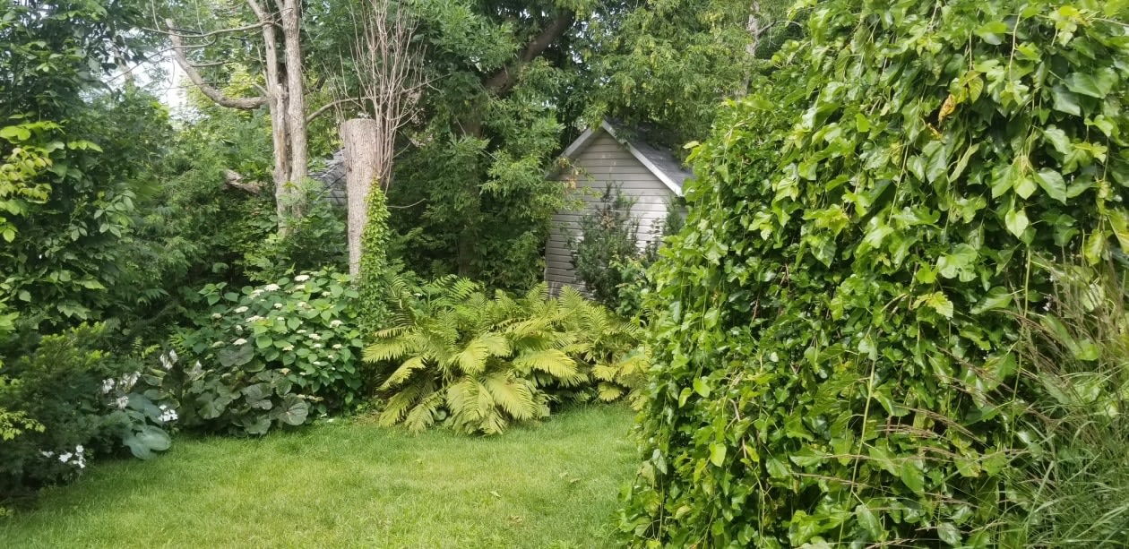 Cour — 630 Rue J.-Brunette, Deux-Montagnes, J7R 6P5, Deux-Montagnes