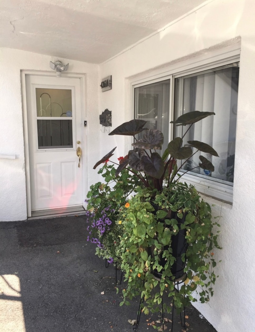 Photo 14 — 4361 de Roquebrune, A, Saint-Leonard, H1R 1K5, Saint-Leonard