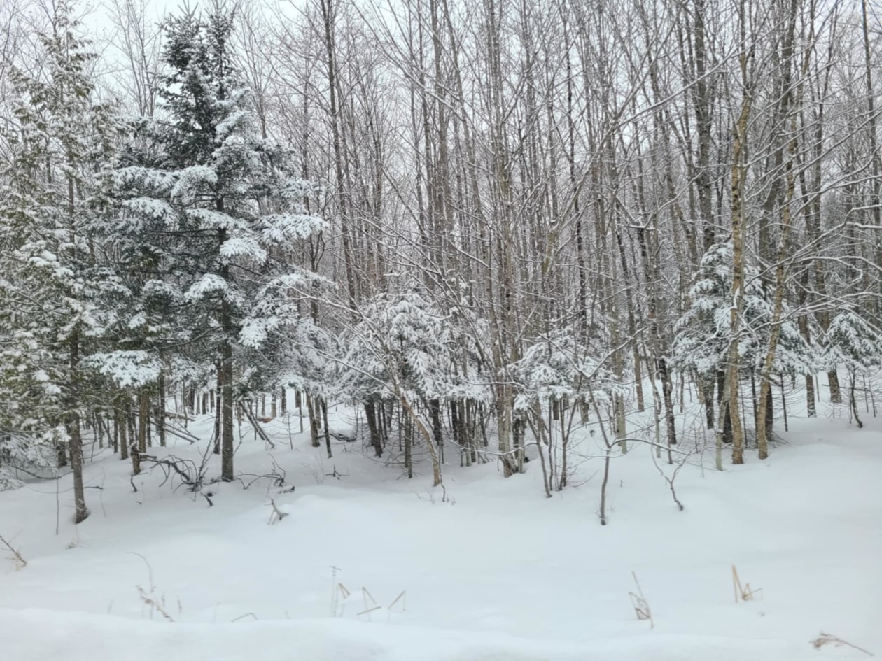 519 Ch Spring — photo 3