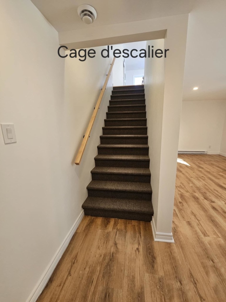Photo 15 — 841 Av Des Dalles, Shawinigan, G9P 0C2, Shawinigan