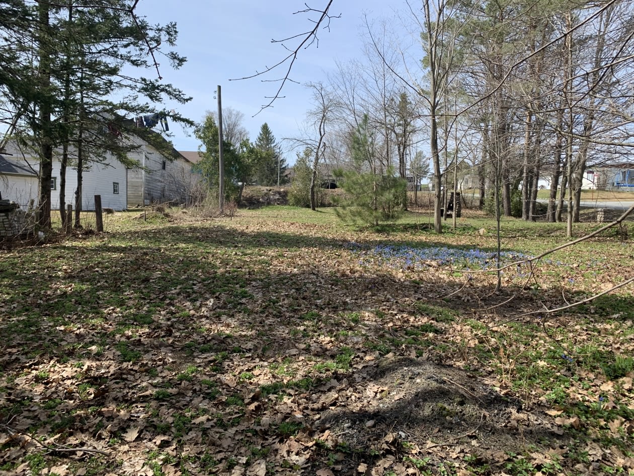 Photo 8 — Rue Grondin, Saint-Frédéric, G0N 1P0, Saint-Frédéric