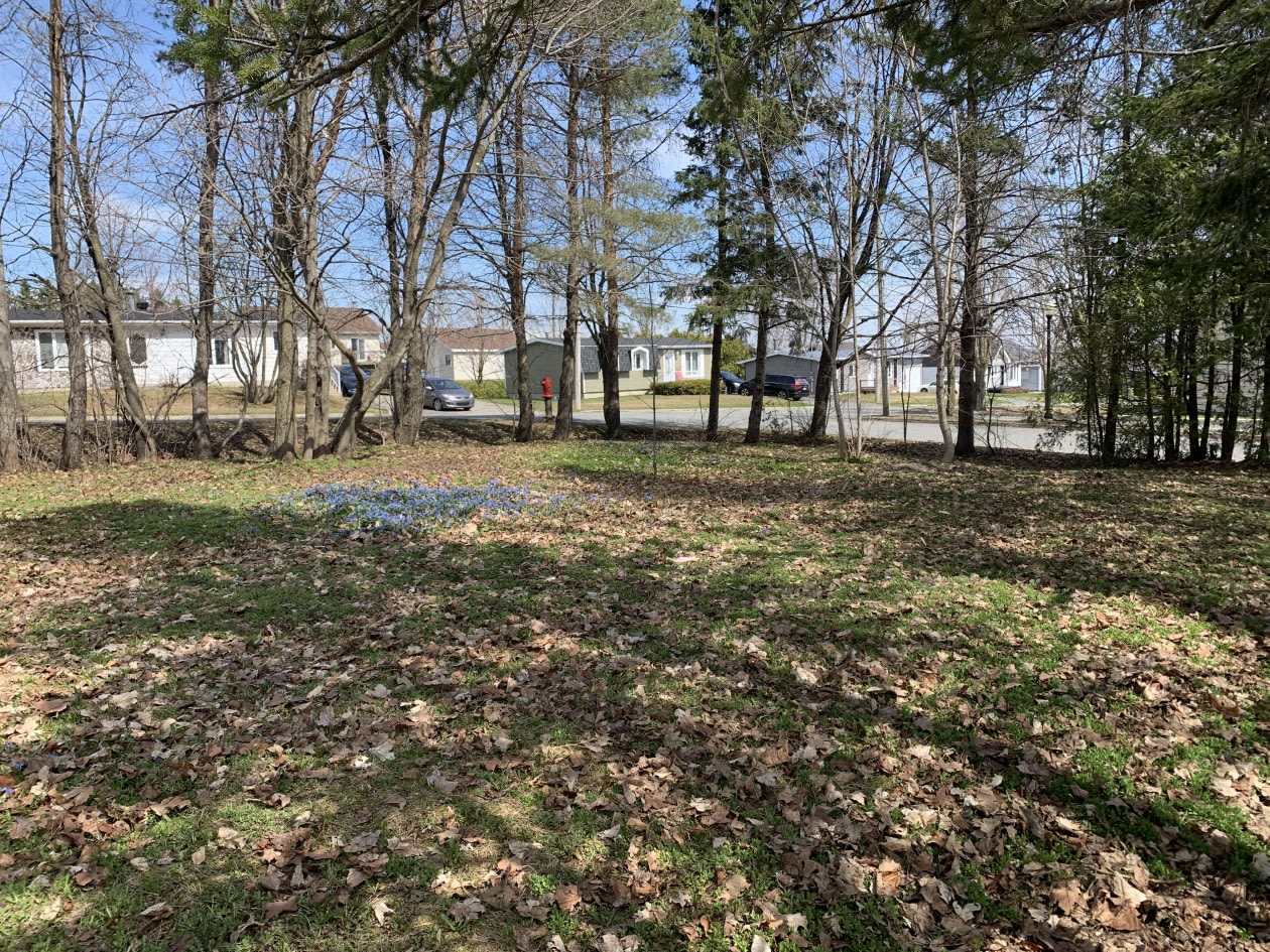 Photo 6 — Rue Grondin, Saint-Frédéric, G0N 1P0, Saint-Frédéric