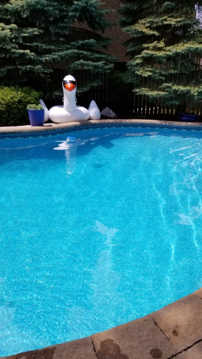 Piscine — 77 Rue Félix-Leclerc, Gatineau, J9H 6Y2, Gatineau