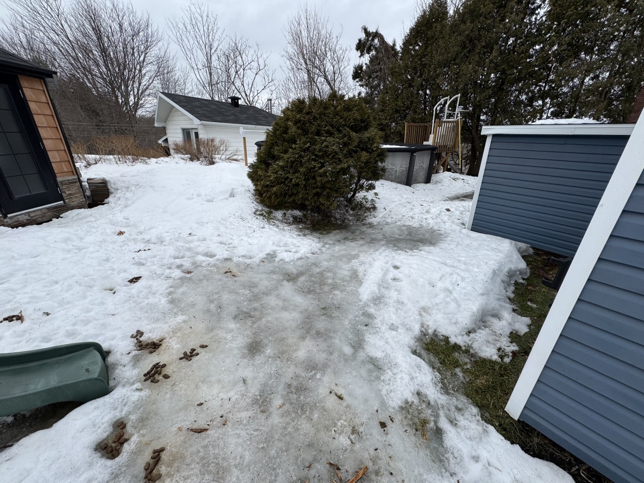 Piscine — 3903 Av Saint-Augustin, Lévis, G6Z 8J4, Lévis