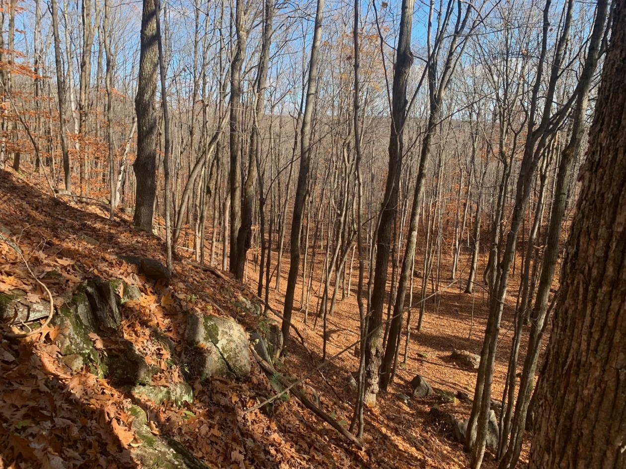Photo 5 — Chemin du Lac-Morgan, Rawdon, J0K 1S0, Rawdon