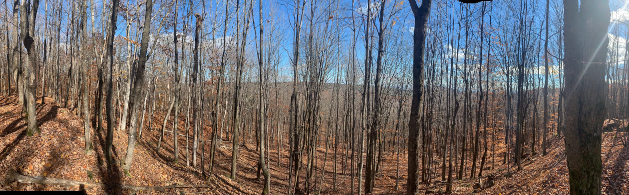 Photo 6 — Chemin du Lac-Morgan, Rawdon, J0K 1S0, Rawdon