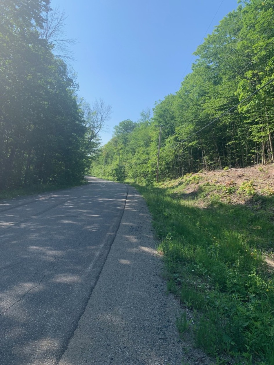Photo 7 — Chemin du Lac-Morgan, Rawdon, J0K 1S0, Rawdon