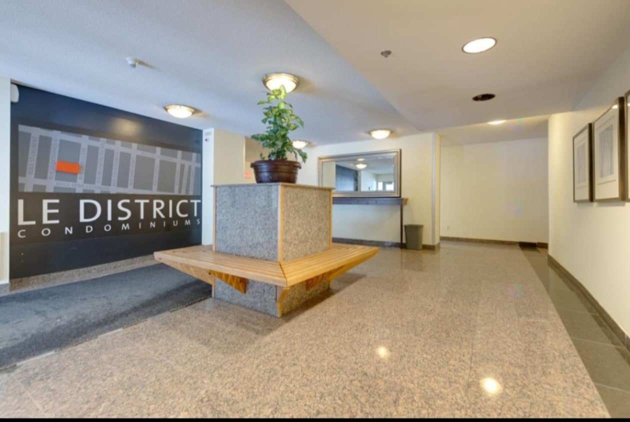 Photo 12 — 98 Rue Charlotte, 161, Montréal, H2X 3V2, Montréal