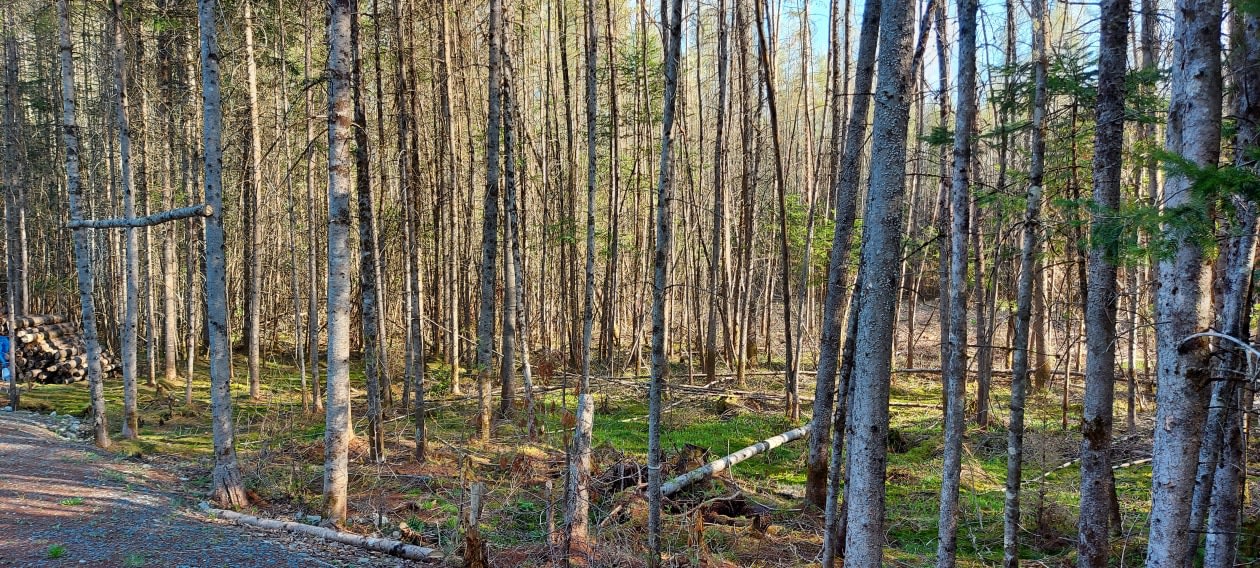 Photo 8 — 11 chemin des feuillages , St-Gérard de Weedon , J0B 3J0, St-Gérard de Weedon 