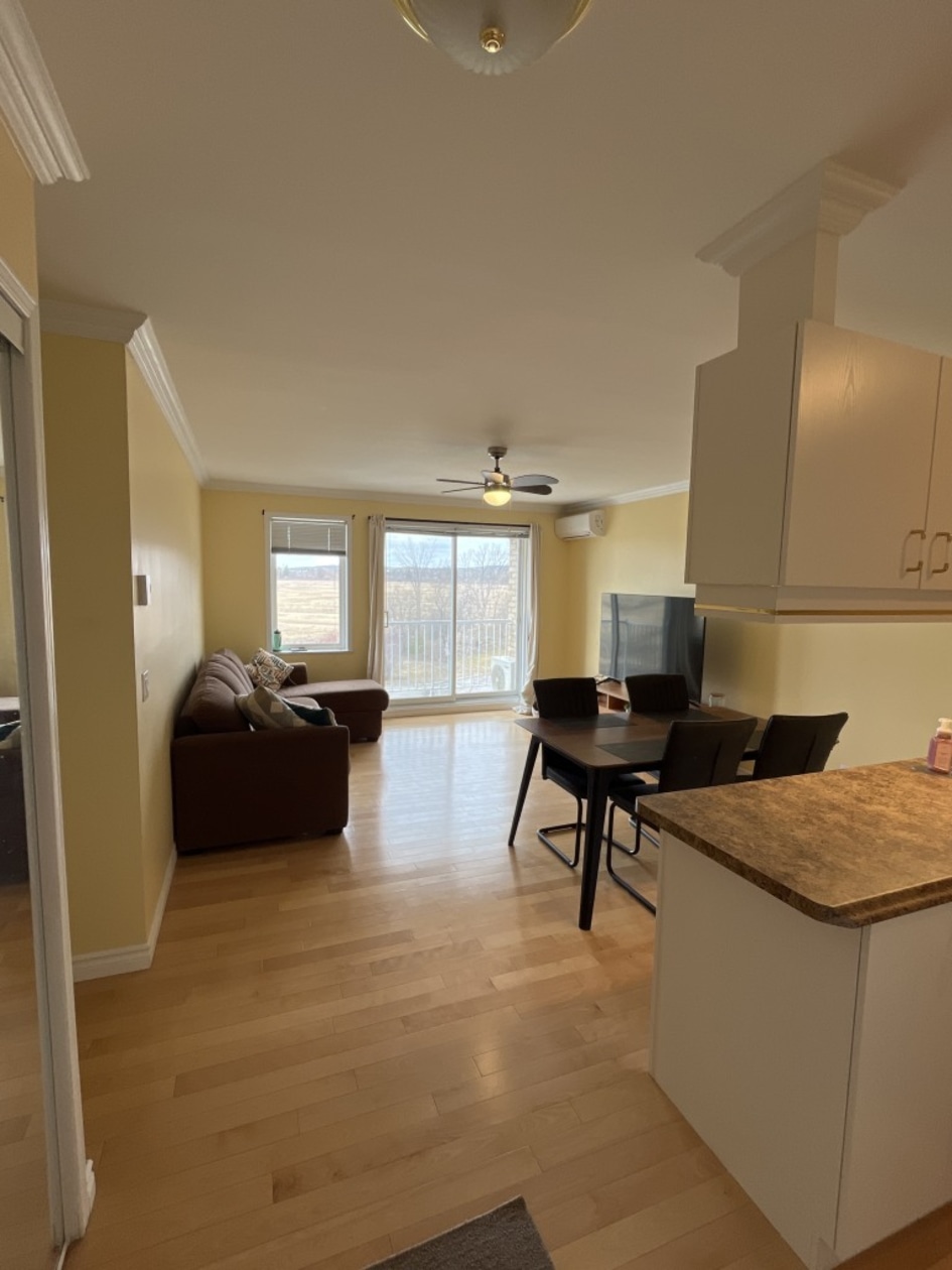 3414 Blvd. Albert-Chrétien — photo 1