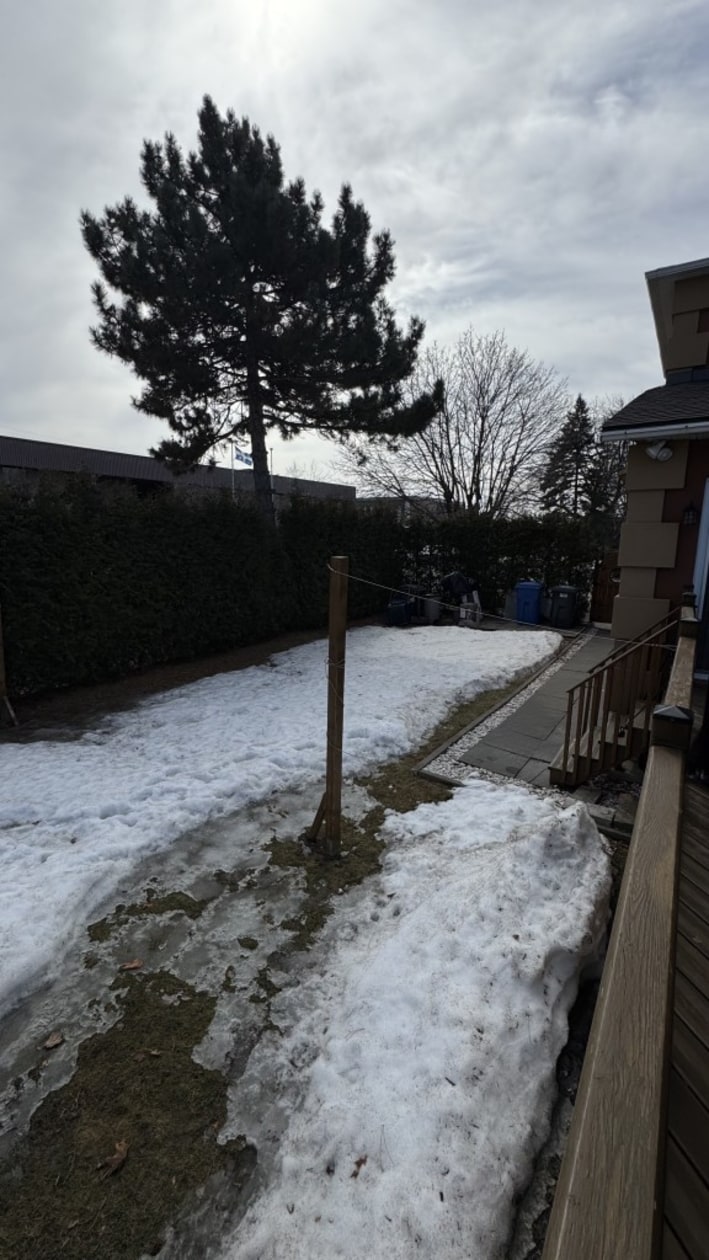 Cour — 91 Rue Vanier, Repentigny, J6A 4Y4, Repentigny