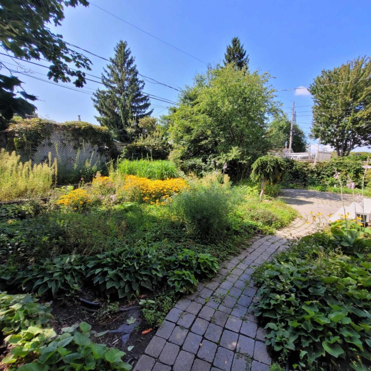 Photo 14 — 3 rue de la Nouvelle-France, Gatineau, J8T 2B8, Gatineau