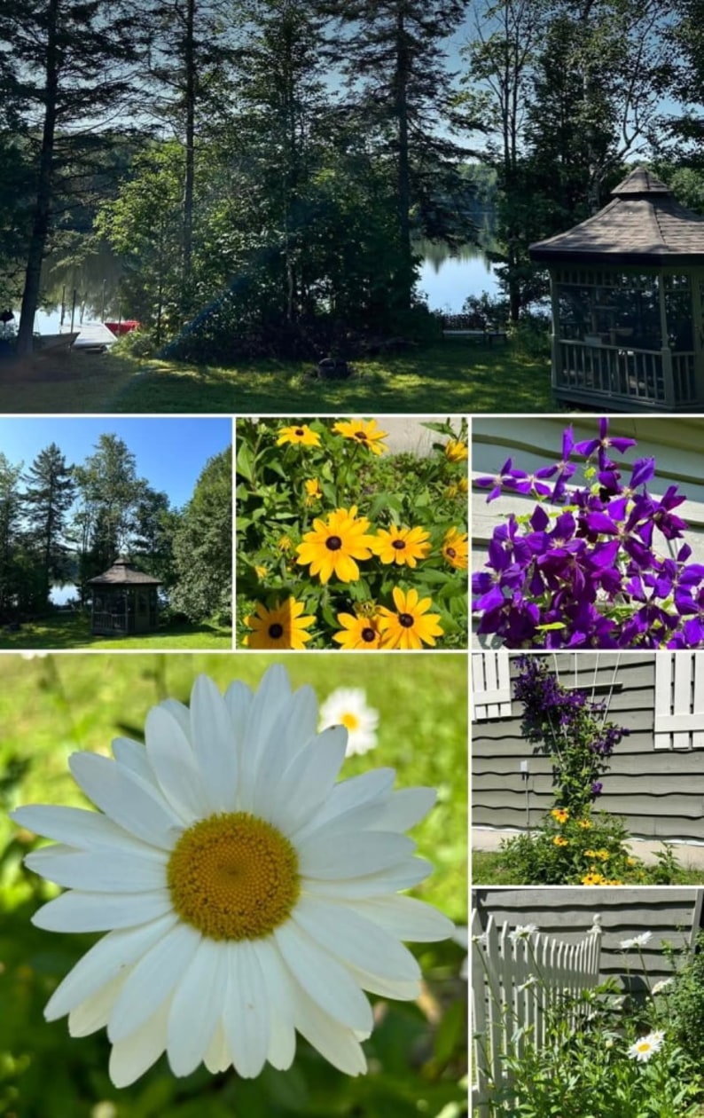 Photo 11 — 132 Rte. du Lac Ruel, Saint-Romain, G0Y 1L0, Saint-Romain