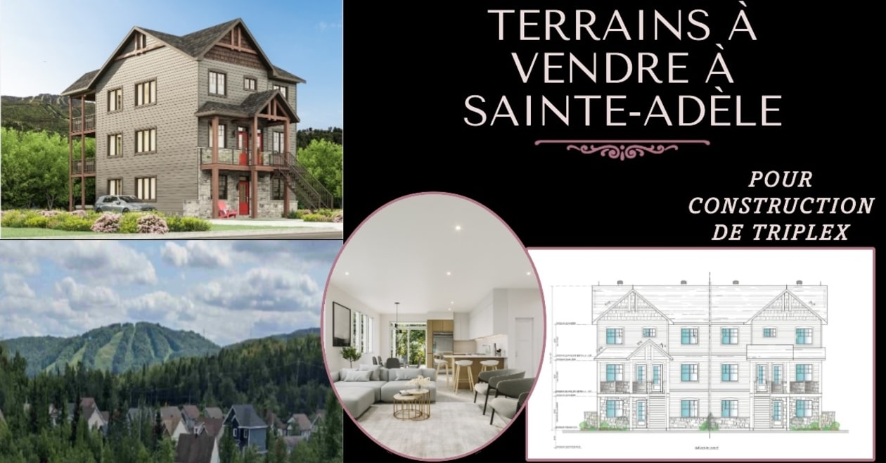 rue Sentier-de-la-Tanière