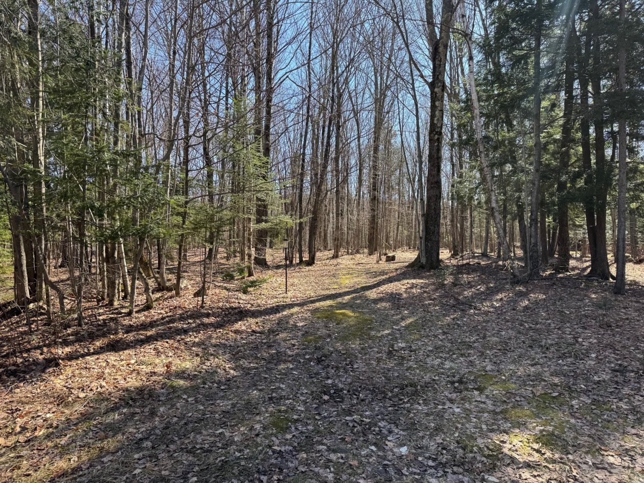Photo 10 — 46 Chemin Bombardier, Mansonville, J0E 1X0, Mansonville