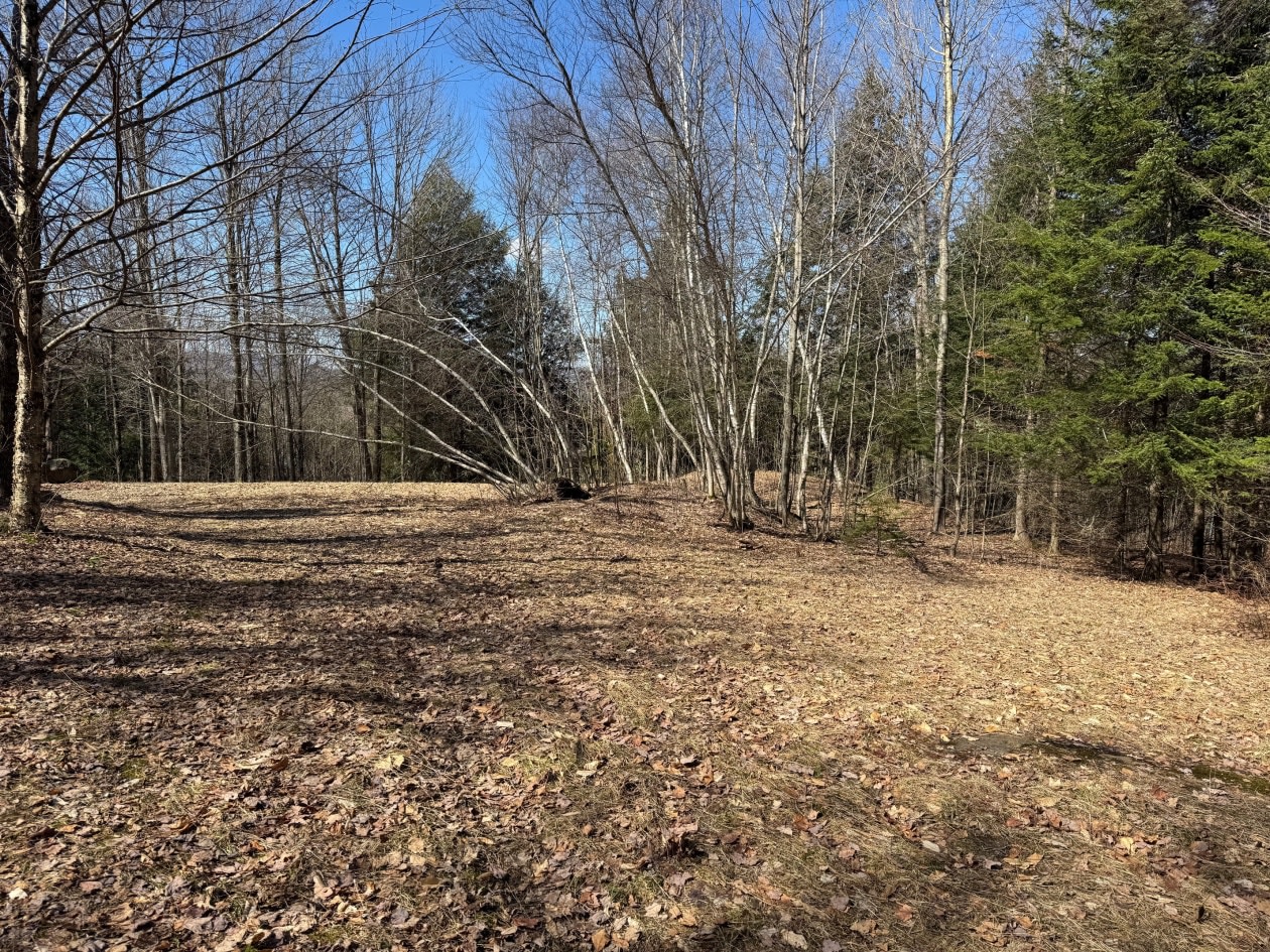 Photo 11 — 46 Chemin Bombardier, Mansonville, J0E 1X0, Mansonville