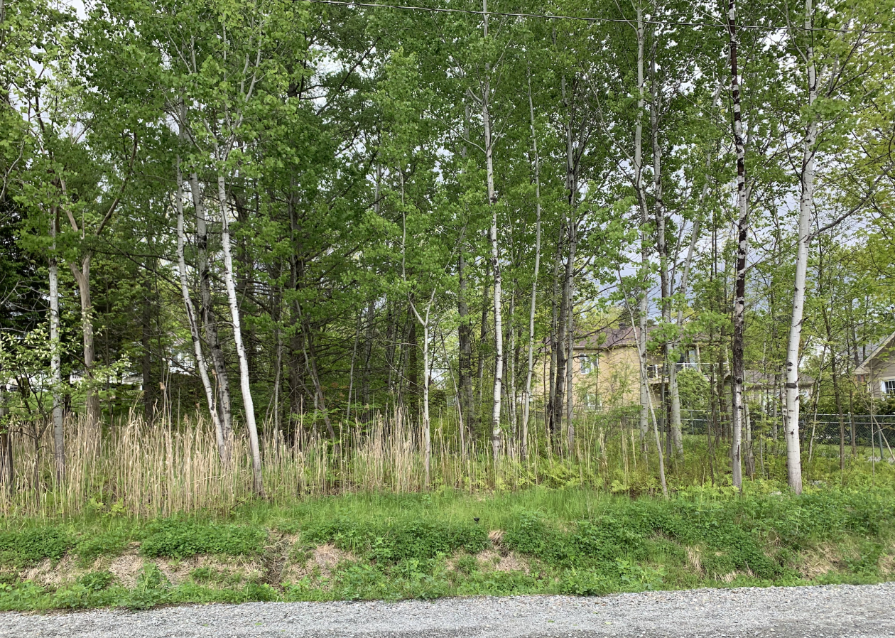 Rue Doyon