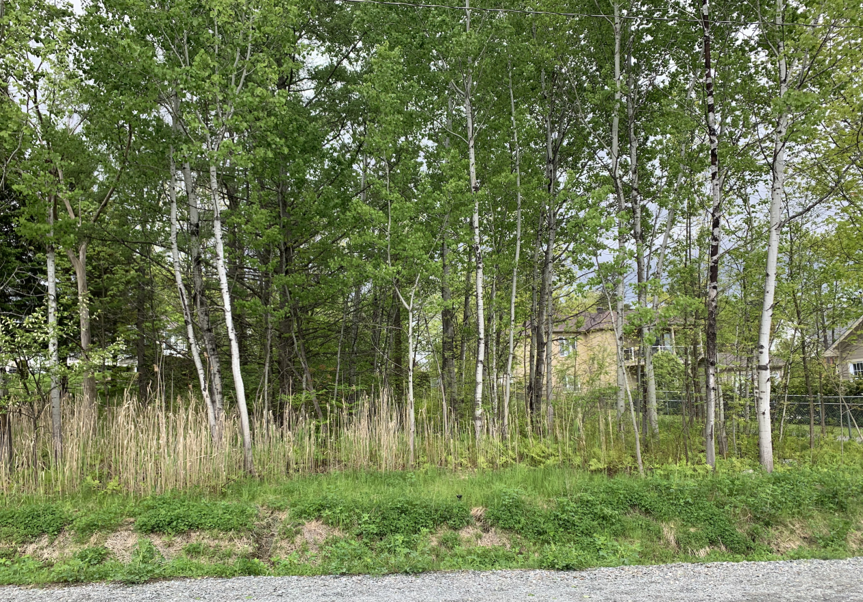 Photo 5 — Rue Doyon, Magog, J1X 1A4, Magog
